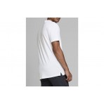 Jack And Jones Jjebasic Polo Ανδρικό (12136516 WHITE)