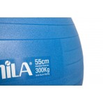 Amila Μπάλα Γυμναστικής Amila Gymball 55Cm Μπλε Bulk (48437)