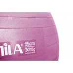 Amila Μπάλα Γυμναστικής Amila Gymball 65Cm Ροζ Bulk (48439)