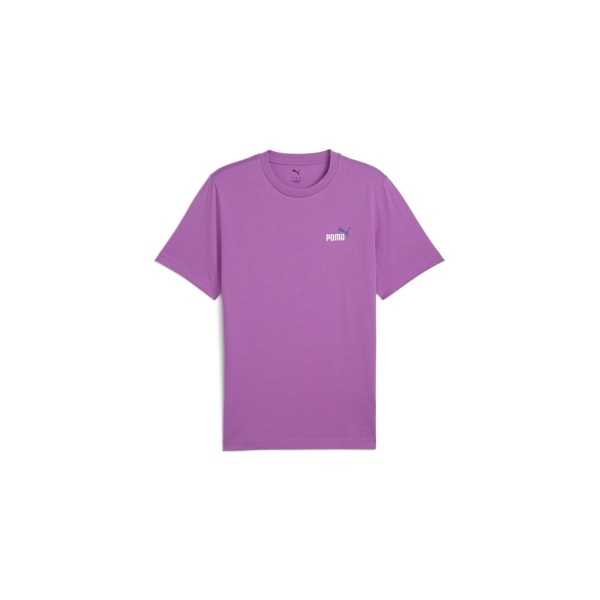 Puma Ess 2 Color Small Logo T-Shirt Ανδρικό (684717 89)