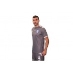 Pas Giannina Fc Teamliga Jersey Φανέλα Ομάδας Ανδρική (704917 13 PAS)