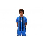 Pas Giannina Fc Teamliga Striped Jersey Φανέλα Ομάδας Ανδρική (704920 02 PAS)