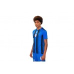 Pas Giannina Fc Teamliga Striped Jersey Φανέλα Ομάδας Ανδρική (704920 02 PAS)