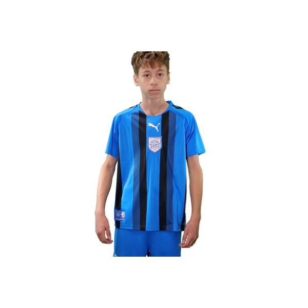 Pas Giannina Fc Teamliga Striped Jersey Φανέλα Ομάδας (704927 02 PAS)