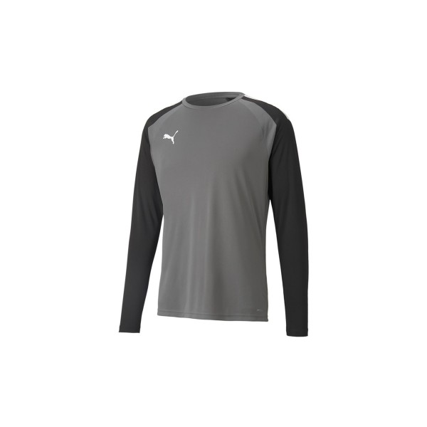 Puma Teampacer Gk Ls Jersey Μπλούζα Με Λαιμόκοψη Ανδρική (704933 43)