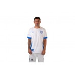 Pas Giannina Fc Teamgoal Matchday Jersey Φανέλα Ομάδας Ανδρική (705747 12 PAS)