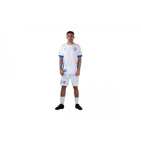 Pas Giannina Fc Teamgoal Matchday Jersey Φανέλα Ομάδας Ανδρική 