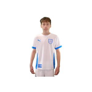 Pas Giannina Fc Teamgoal Matchday Jersey Jr Φανέλα Ομάδας (705748 12 PAS)