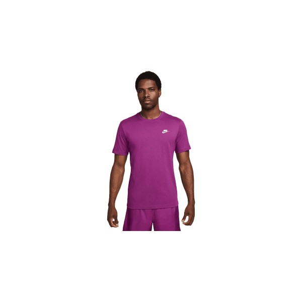 Nike T-Shirt Ανδρικό (AR4997 504)