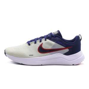 Nike Downshifter 12 Παπούτσια Για Τρέξιμο-Περπάτημα (DD9293 012)