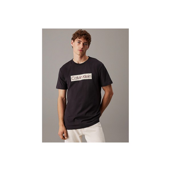 Calvin Klein Logo T-Shirt Ανδρικό (J30J327472 BA1)