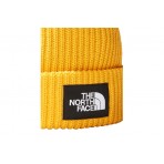 The North Face Salty Dog Lined Beanie Σκουφάκι Χειμερινό (NF0A3FJW56P1)