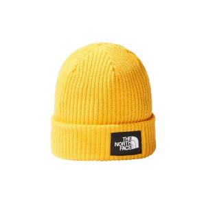 The North Face Salty Dog Lined Beanie Σκουφάκι Χειμερινό (NF0A3FJW56P1)