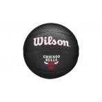 Wilson Nba Player Icon Chicago Bulls Μπάλα Μπάσκετ Mini (WZ4017602)